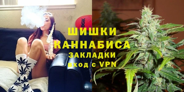синтетический гашиш Заводоуковск