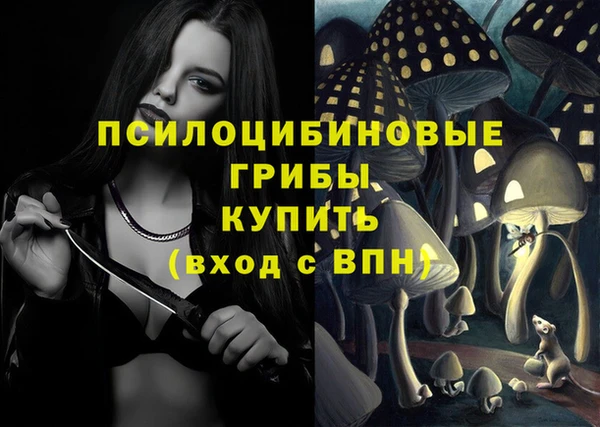 синтетический гашиш Заводоуковск