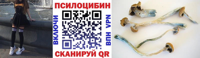 сколько стоит  Себеж  Псилоцибиновые грибы прущие грибы 